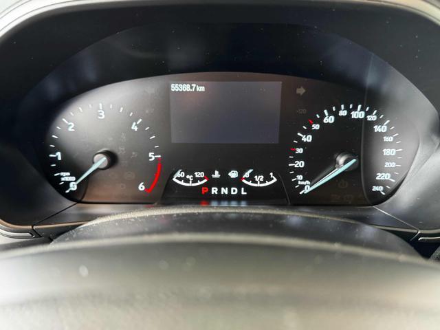 FORD Focus 1.5 EcoBlue 120 CV aut. 2WD ST-Line