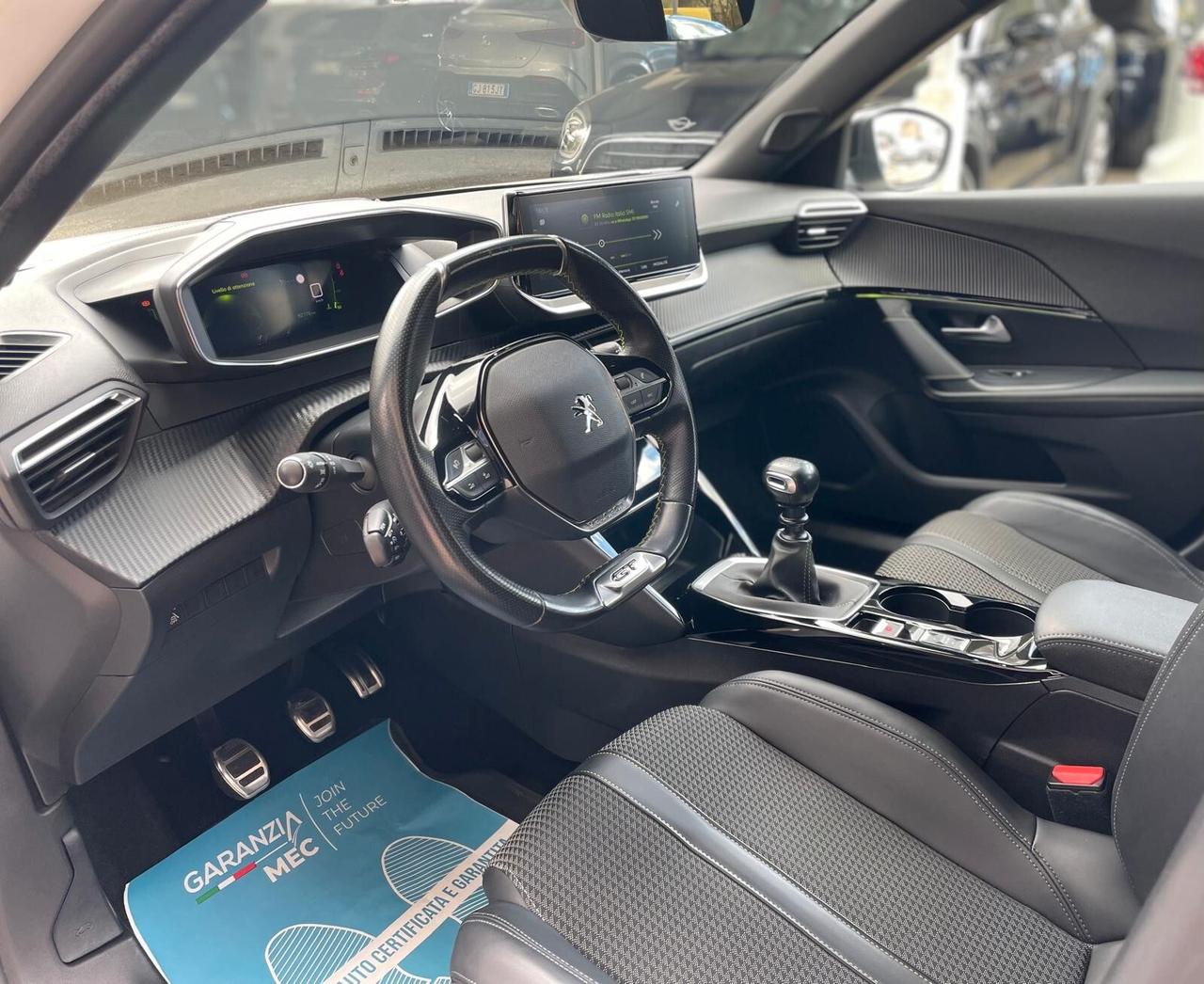 Peugeot 2008 BlueHDi GT Line Tetto