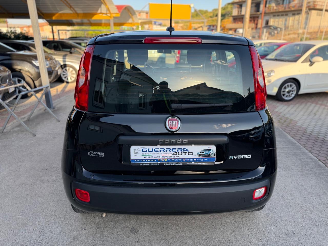 Fiat Panda 1.0 FireFly S&S Hybrid Km Certificati