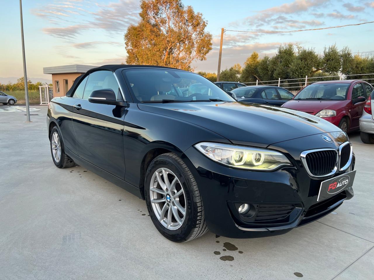 Bmw 218 218i Cabrio Advantage