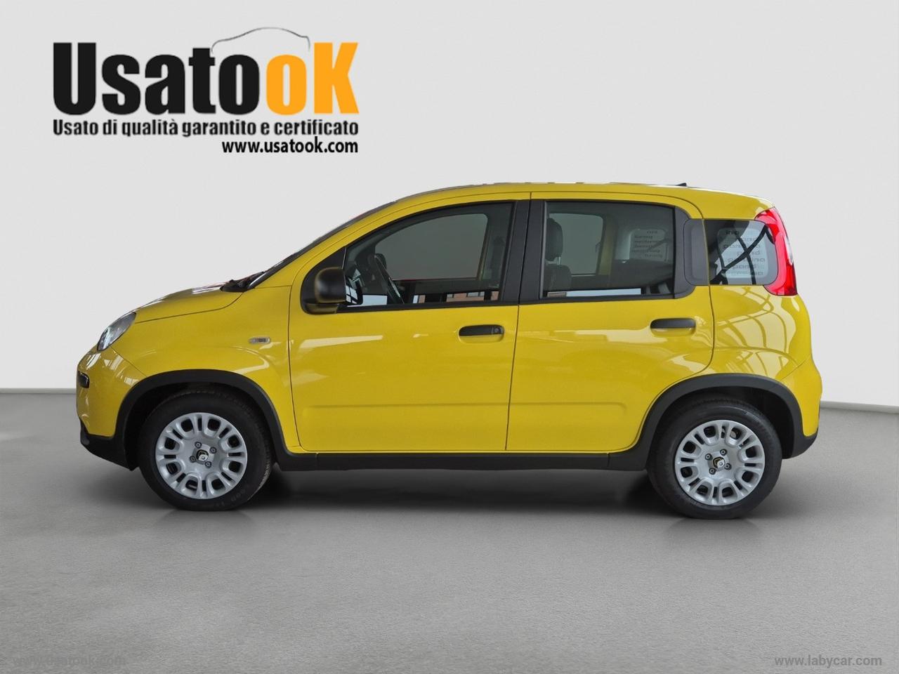 FIAT Panda 1.0 FireFly S&S Hybrid PREZZO REALE SENZA OBBLIGO DI FINANZIAMENTO