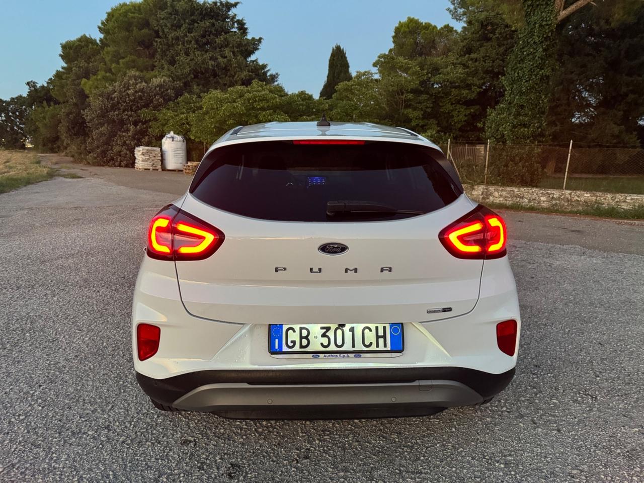 Ford Puma 1.0 EcoBoost Hybrid 125 CV S&S Titanium