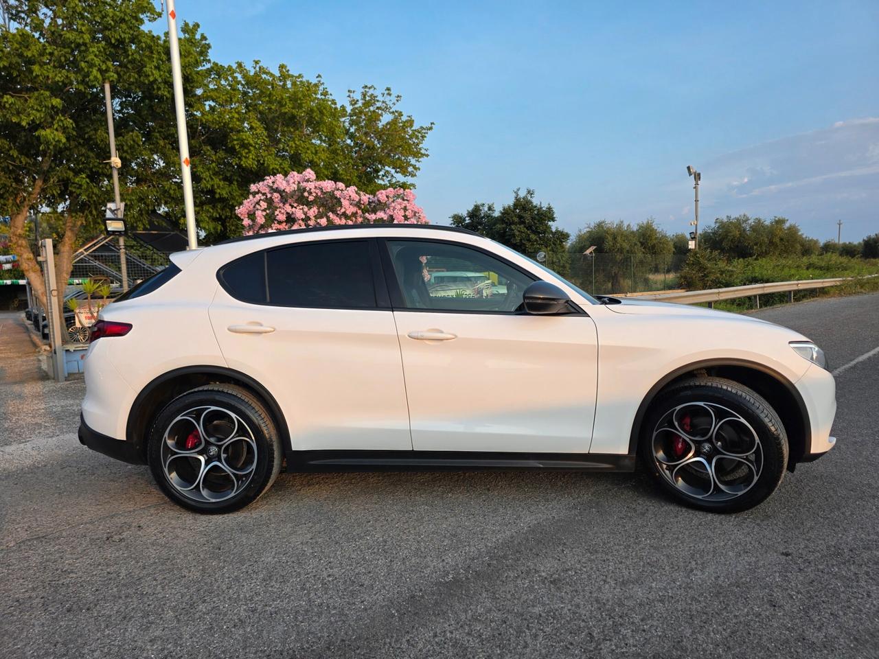 Alfa Romeo Stelvio 2.2 Turbodiesel 190 CV AT8 Q4