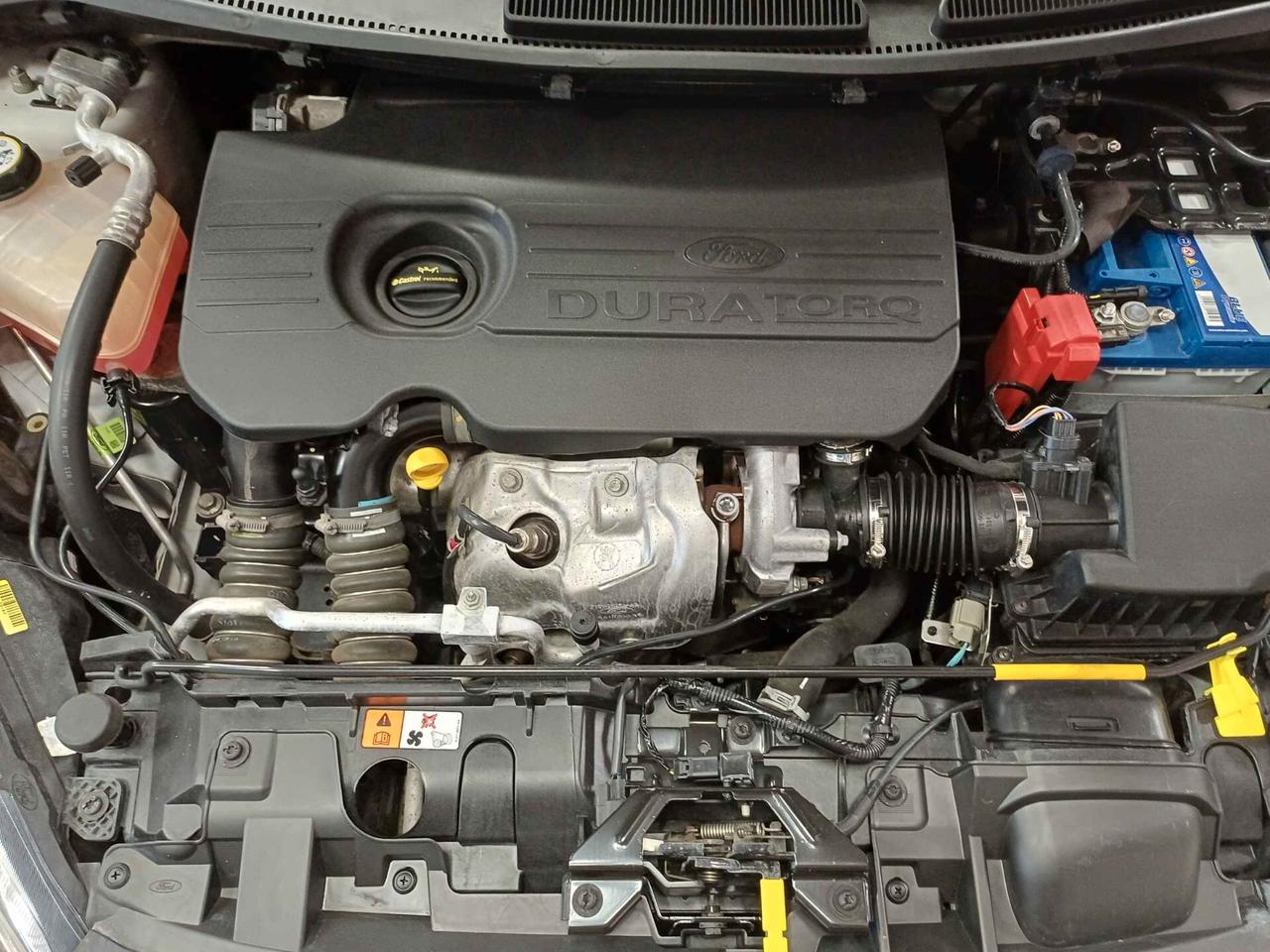 Ford Fiesta 1.5 TDCi 75CV 5 porte Business