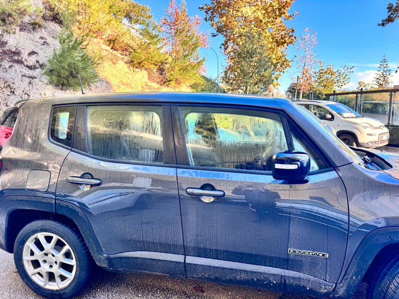 Jeep Renegade 1.6 Mjt 130 CV Limited