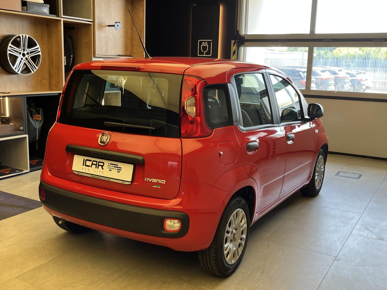 FIAT Panda III 2021 - Panda 1.0 firefly hybrid s&s 70cv