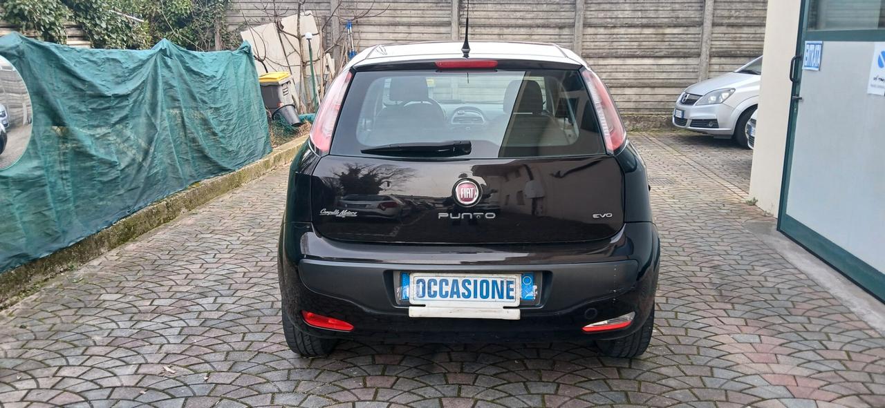Fiat Punto Evo 1.3 Mjt pochi km neopatentati