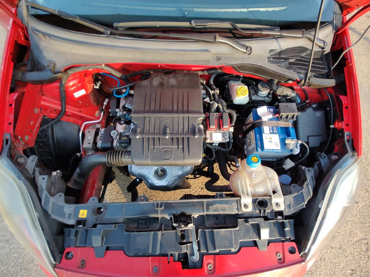 Fiat Punto 1.2 8V 5 porte Easy, EURO 5B, LEGGERMENTE GRANDINATA, OK NEOPATENTATI, GARANZIA L.12 MESI