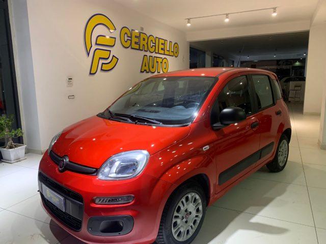 FIAT Panda 1.3 MJT 95 CV S&S Easy tua da ?119,00 mensili