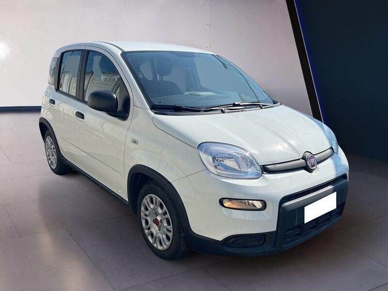FIAT Panda My23 1.0 70cv Hybrid Panda