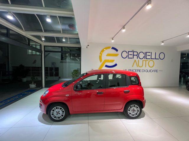 FIAT Panda 1.2 EasyPower gpl da ?119,00 mensili