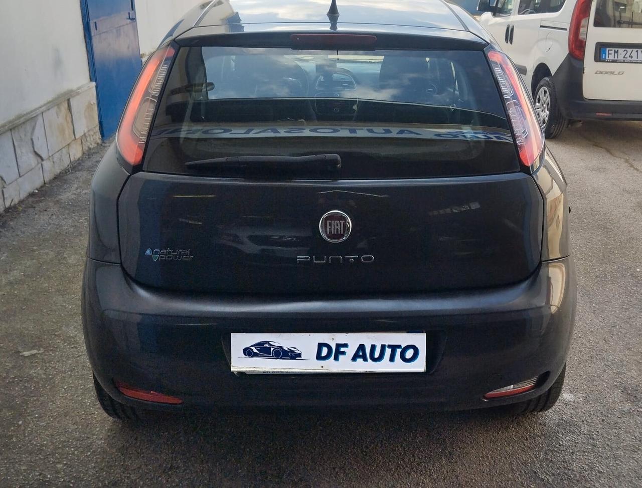 Fiat Punto 1.4 8V 5 porte Natural Power Lounge