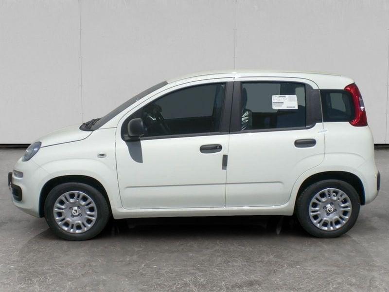 FIAT Pandina 1.0 firefly hybrid s&s 70cv