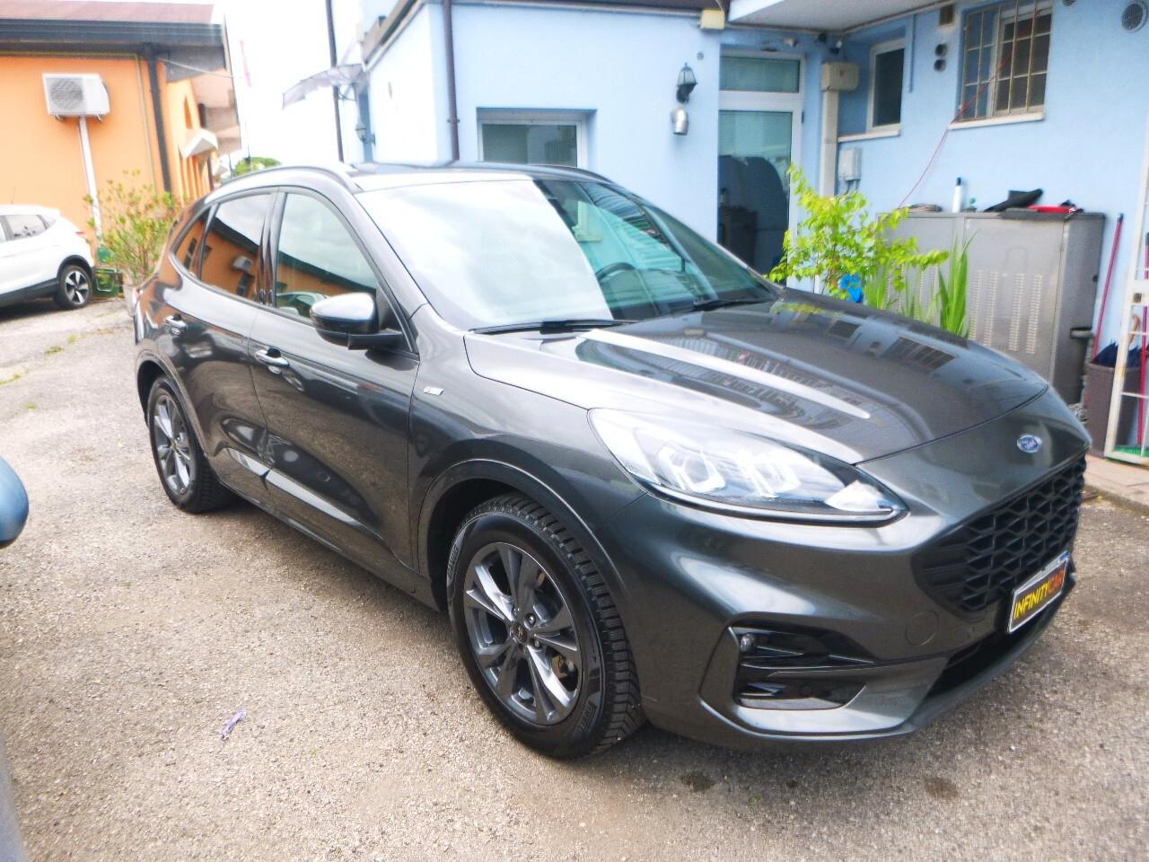 Ford Kuga 1.5 EcoBlue 120 CV 2WD ST-Line X NEOPATENTATI
