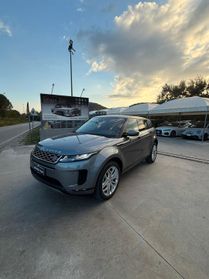 Range Rover Evoque 2.0 TD4 150 CV 5p. Business Edition Pure