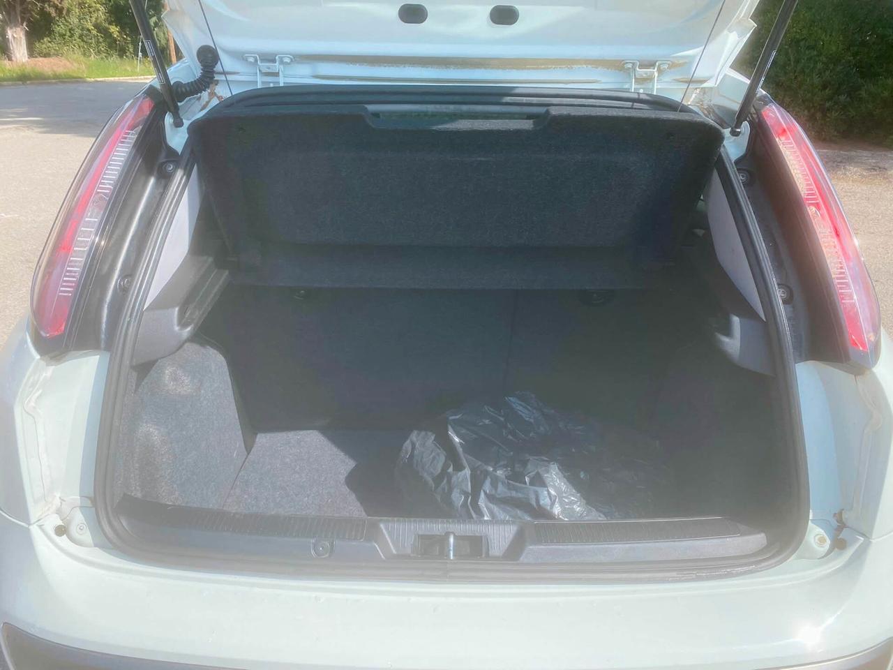 Fiat Punto Evo 1.4 5 porte Dynamic GPL