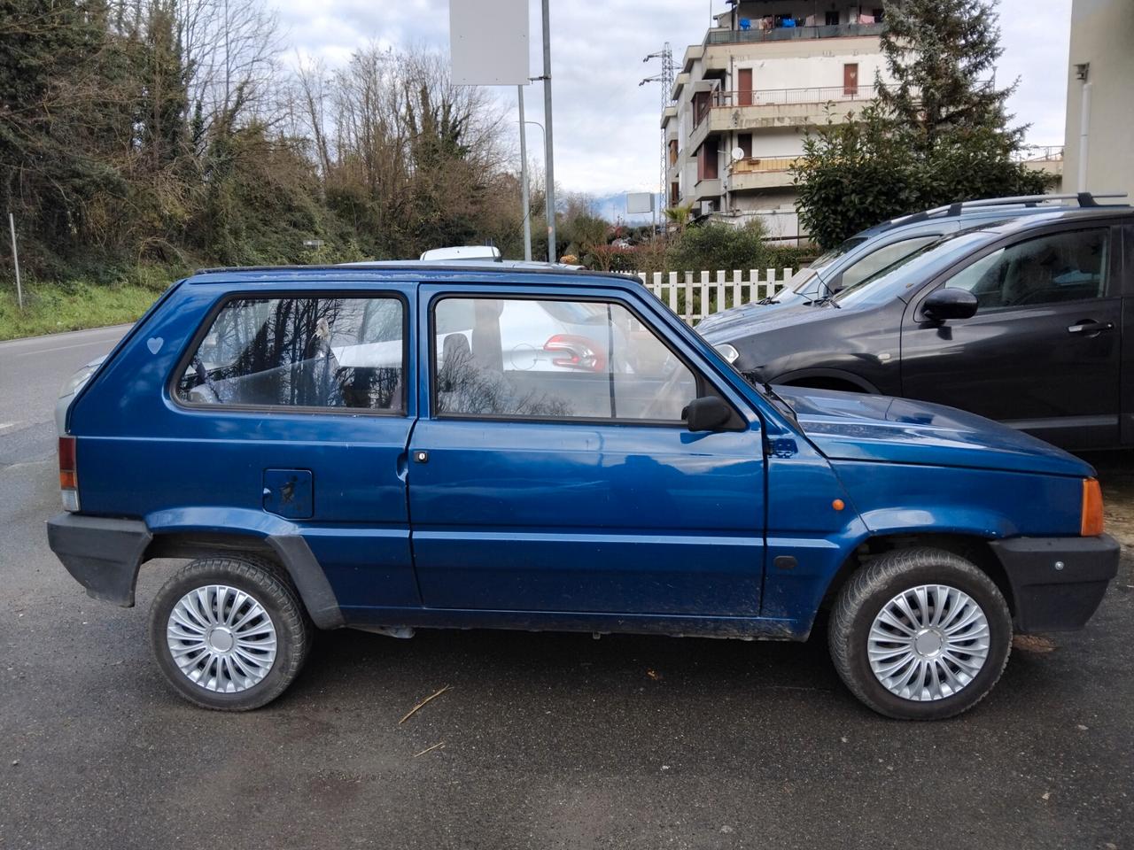Fiat Panda 1100 i.e. cat Young