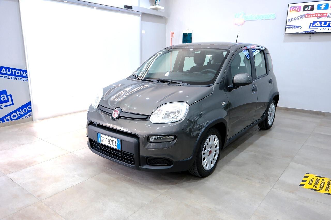 Fiat Panda Hybrid 1000 70cv City Life