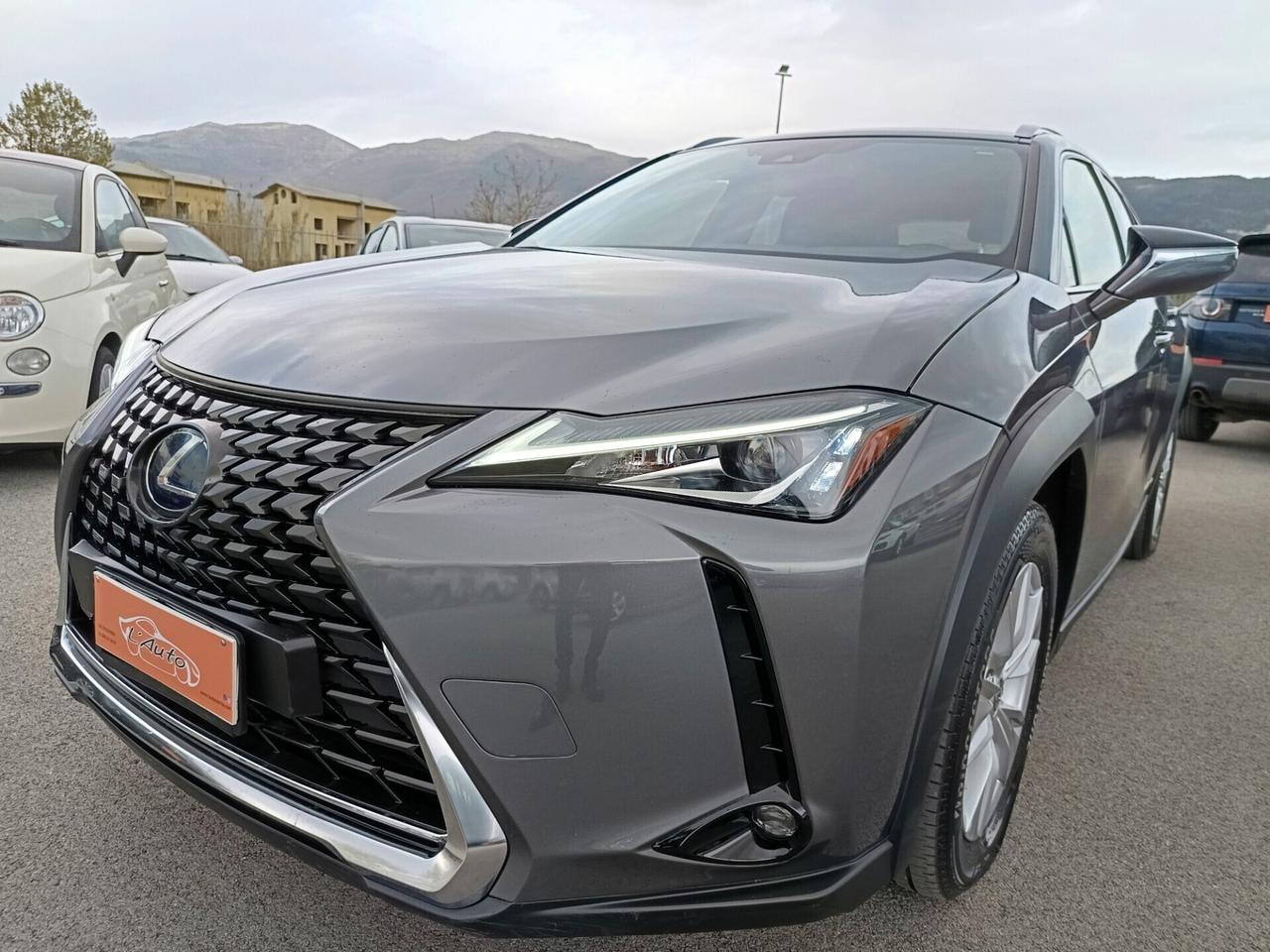 Lexus UX 250h 2.0 Business 2WD CVT MY20