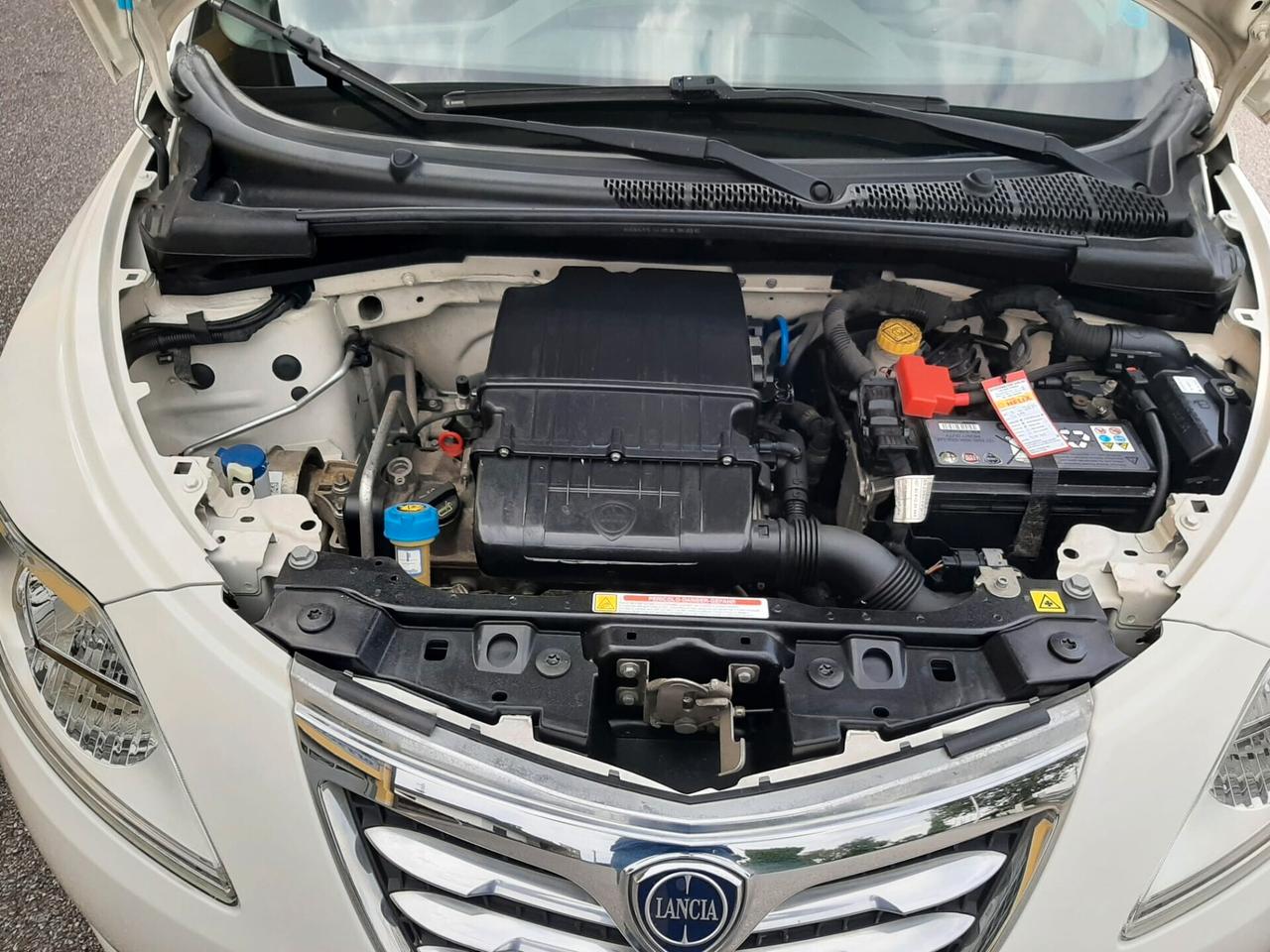 Lancia Ypsilon Benzina cc. 1.242 - 5 Porte 5 Posti UTILIZZABILE ANCHE PER I NEOPATENTATI.