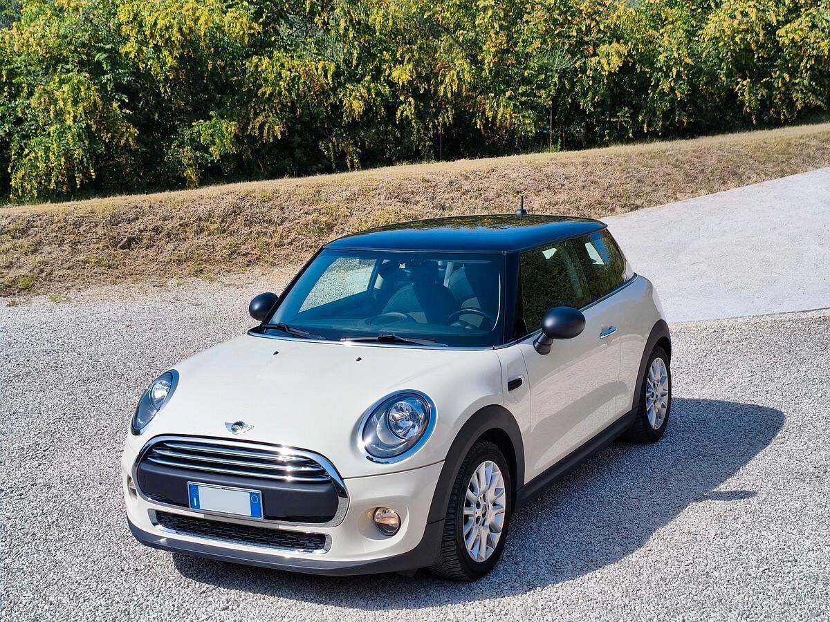 Mini 1.2 One