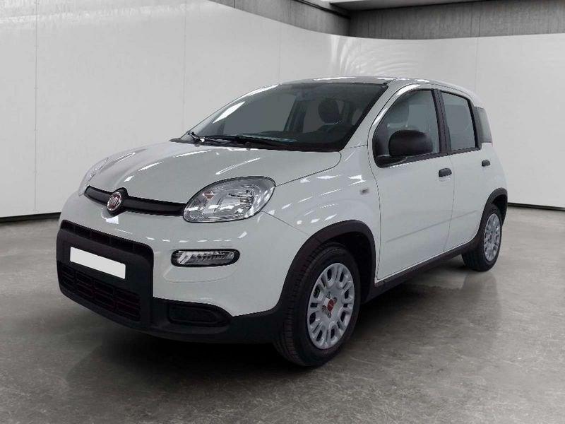 FIAT Panda 1.0 firefly hybrid s&s 70cv 5p.ti