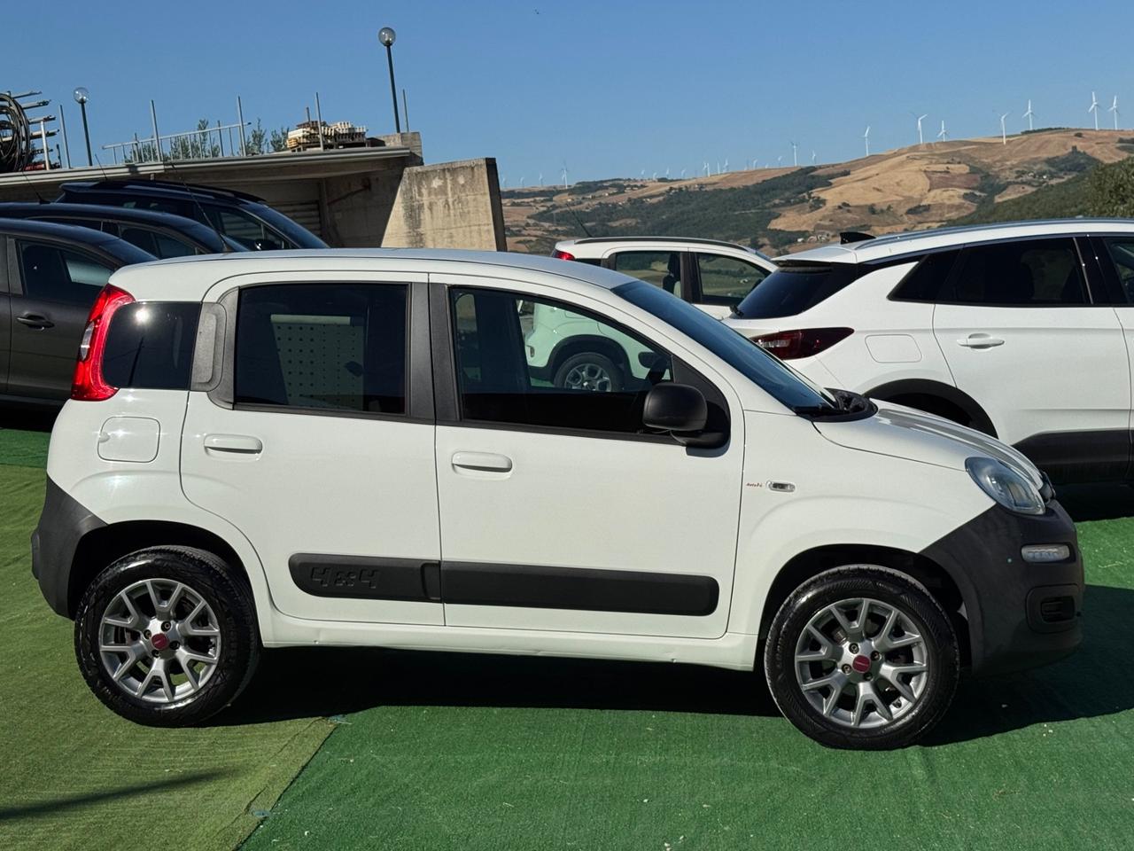 Fiat Panda 1.3 MJT 4x4 Van 2 posti