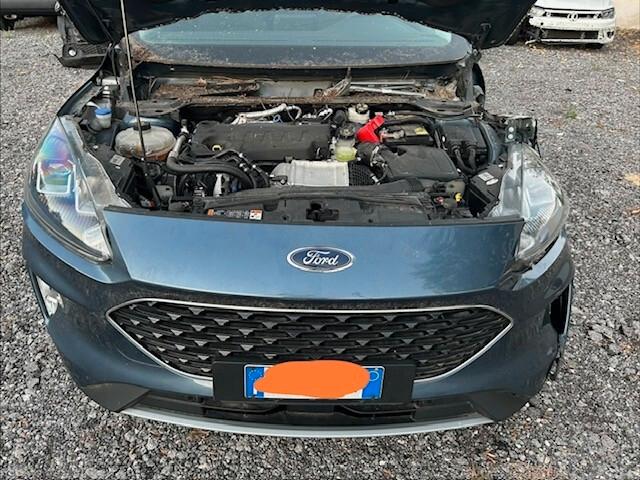 Ford Kuga 2.0 EcoBlue Hybrid 150 CV 2WD Connect sinistrata incidentata 022