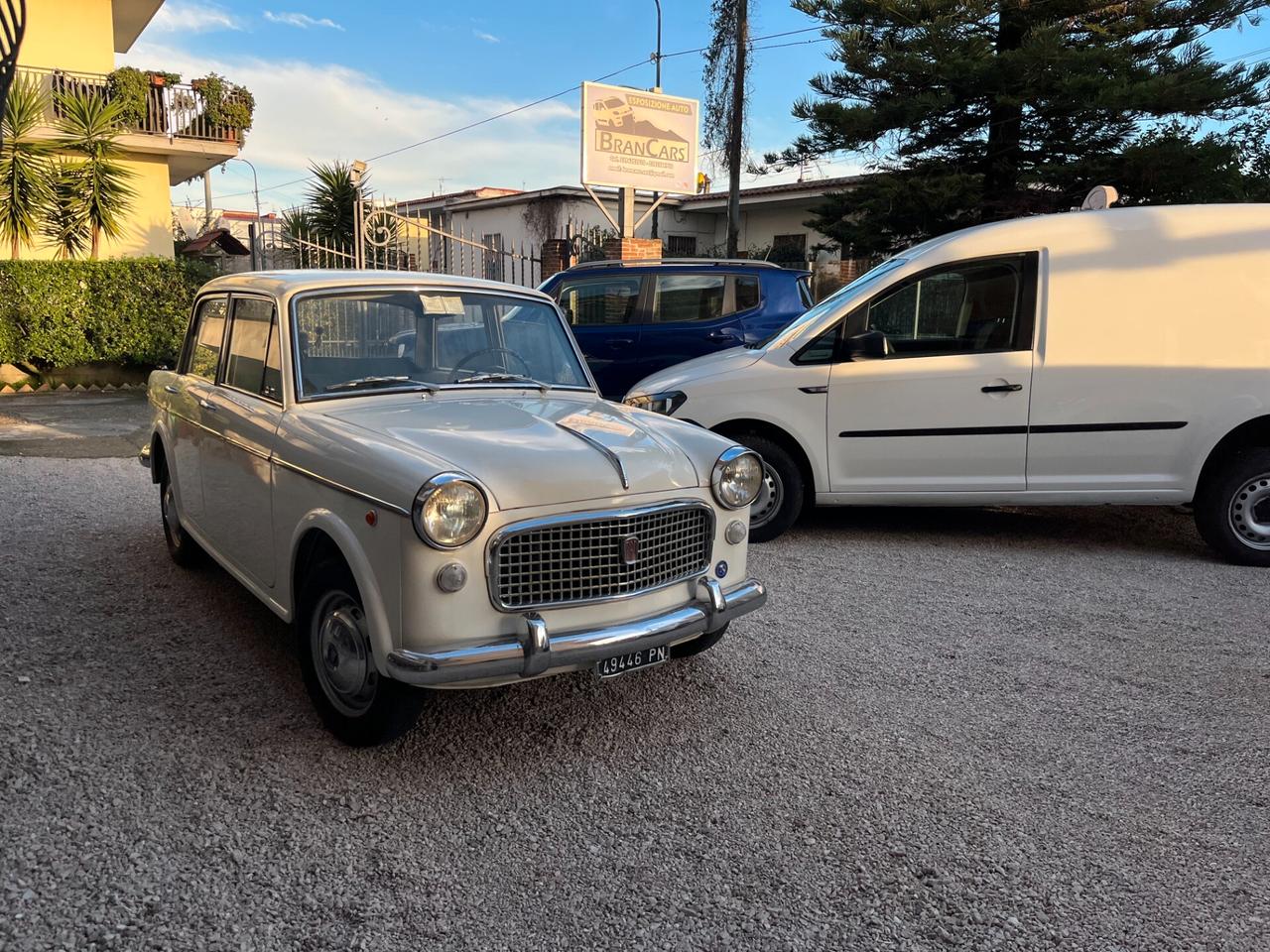 Fiat 1100 SPECIAL 1962