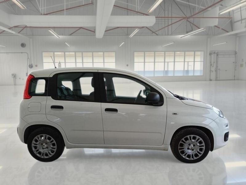 FIAT PANDA 1.0 FIREFLY 70 CV SES HYBRID 5 PORTE BERLINA