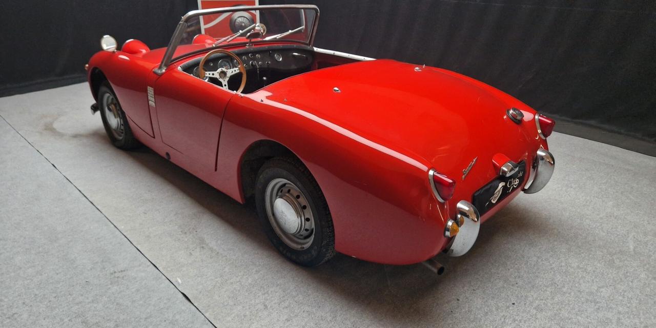 Austin Healey Altro Sprite “Frog Eye” ASI