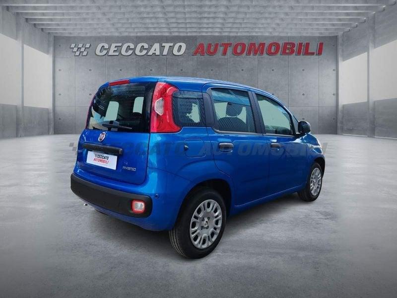 FIAT Panda Panda 1.0 70cv Hybrid Icon