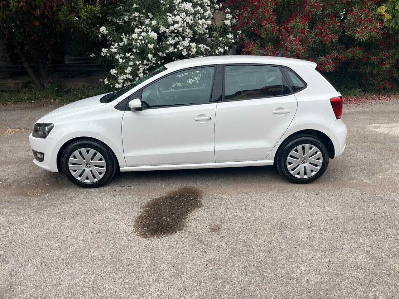 Volkswagen Polo 1.2 5 porte Trendline Perfetta