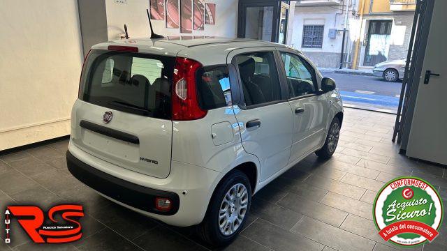 FIAT Panda 1.0 FireFly S&S Hybrid Pandina Adatta Neopatentati