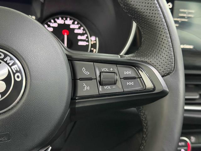 ALFA ROMEO Stelvio 2.2 Turbodiesel 190 CV AT8 Q4 Executive+PELLE