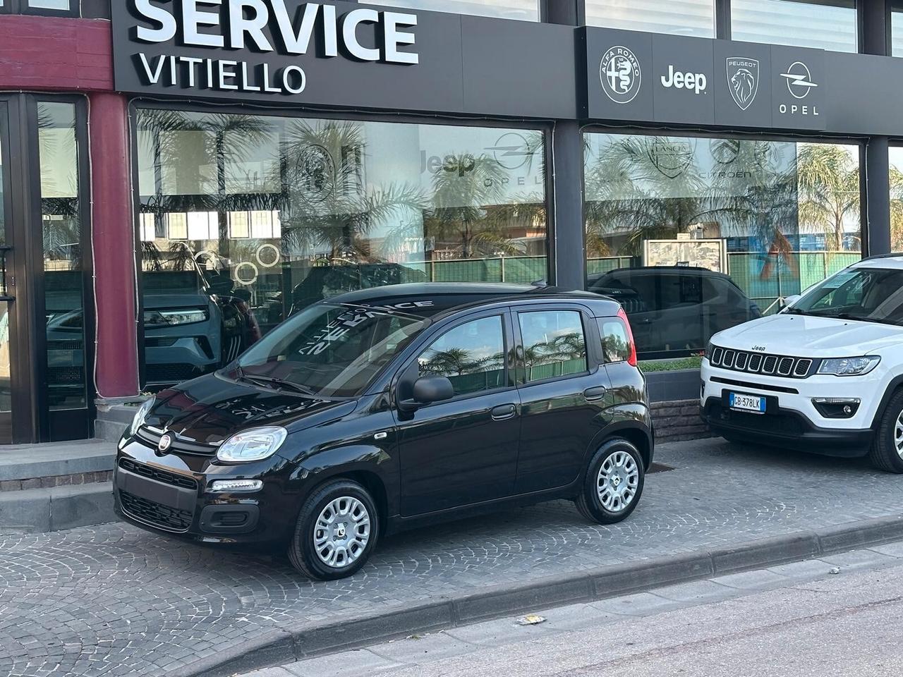 FIAT Panda 3ª serie Panda 1.0 FireFly S&S Hybr...