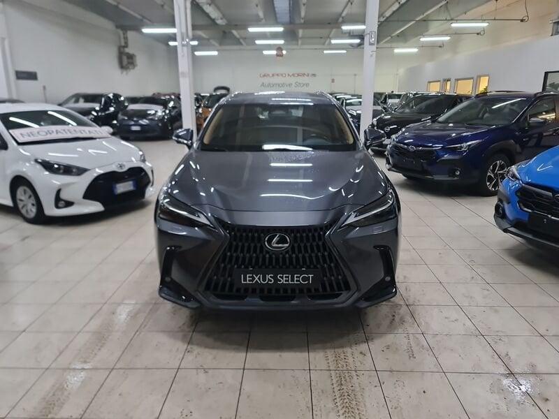 Lexus NX NX Hybrid 4WD Luxury