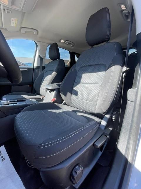 Ford Kuga 1.5 EcoBlue 120 CV aut. 2WD Titanium Business