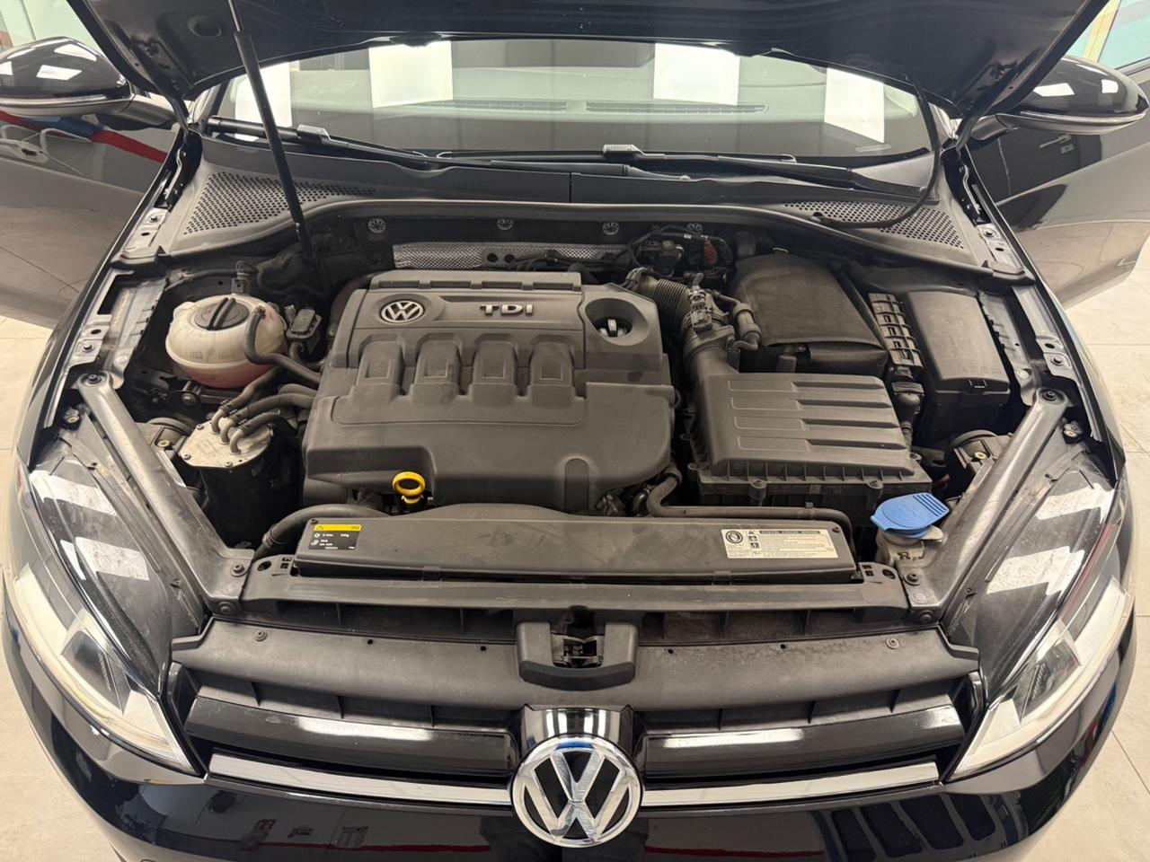 Volkswagen Golf Business 1.6 TDI 5p. Comfortline BlueMotion Technology