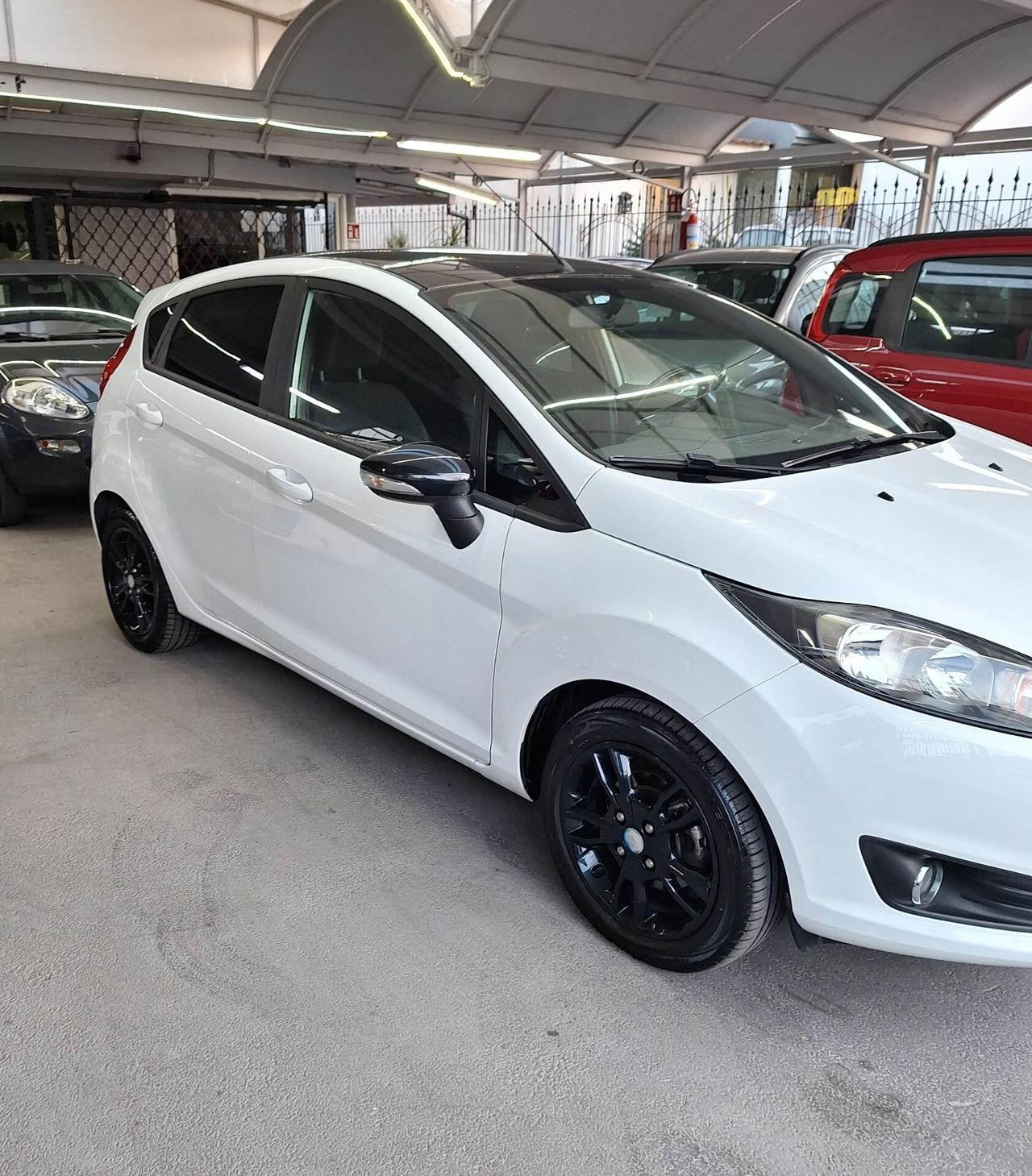 Ford Fiesta 1.5 TDCi 75CV 5 porte Black & White Edition E6