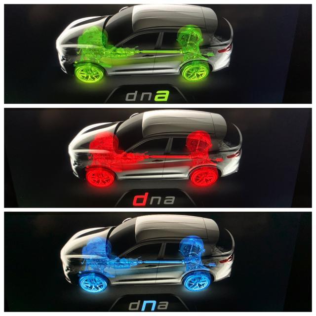 ALFA ROMEO Stelvio 2.2 Turbodiesel 210 CV AT8 Q4 Sport Edition