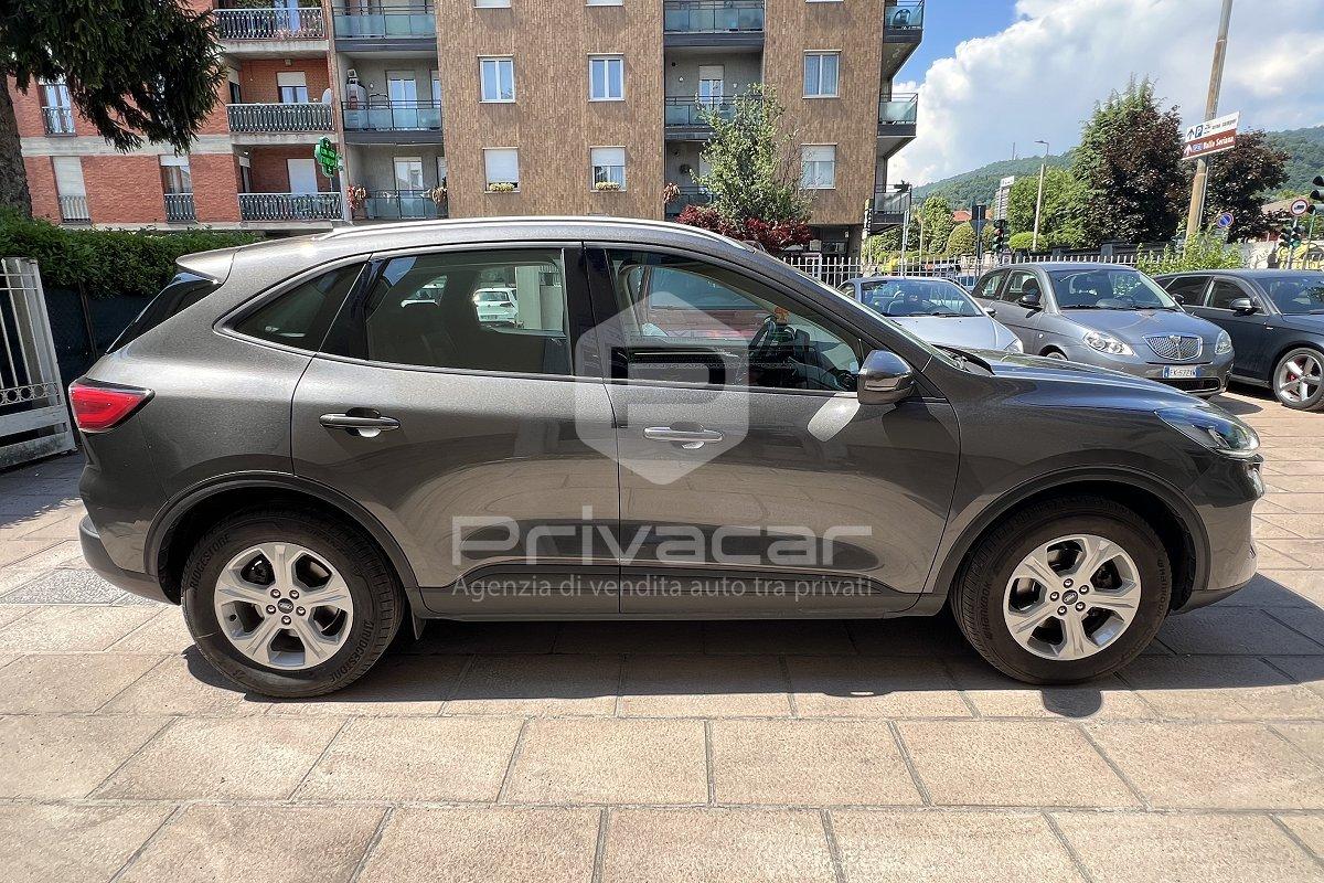 FORD Kuga 1.5 EcoBoost 120 CV 2WD Connect