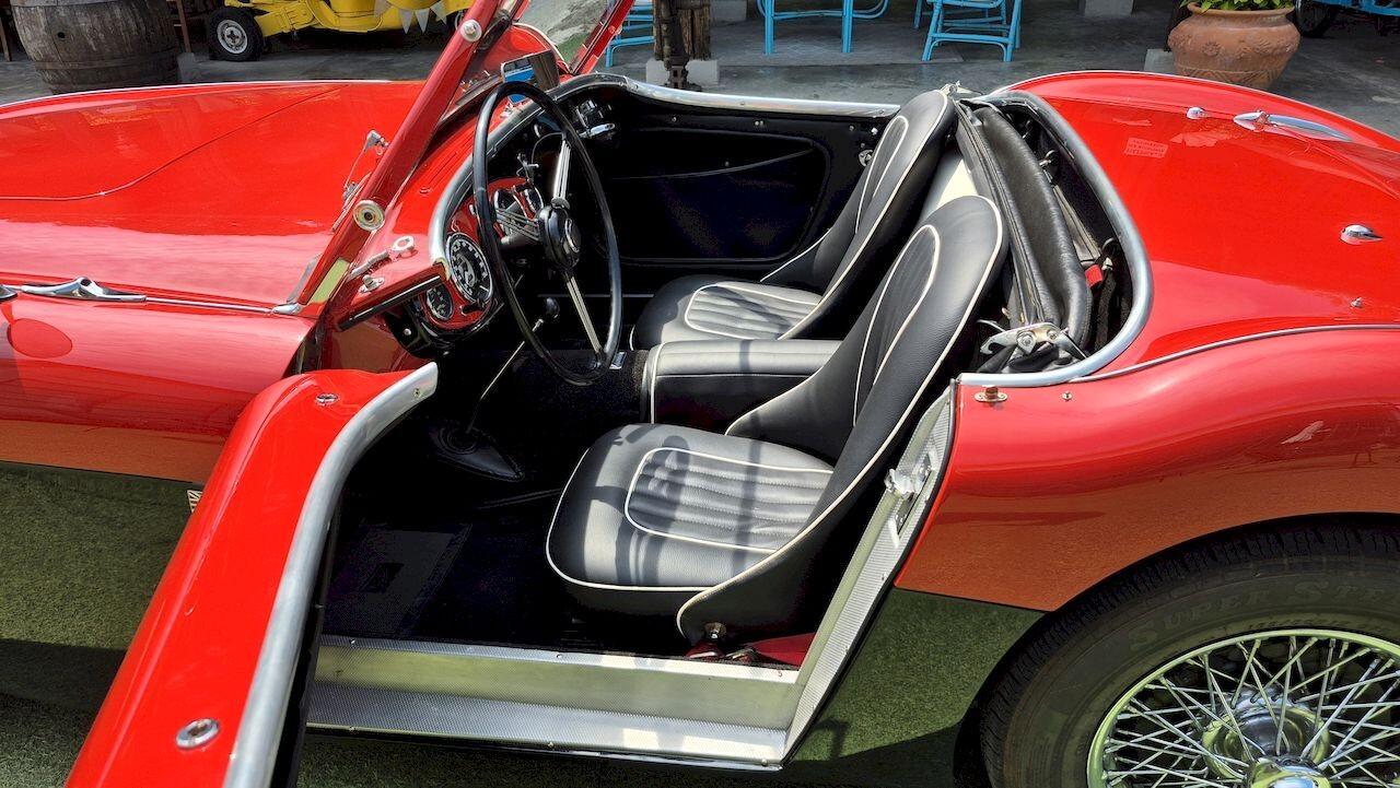 Austin-Healey 100 BN1 – 1954 - SUMMER PRICE
