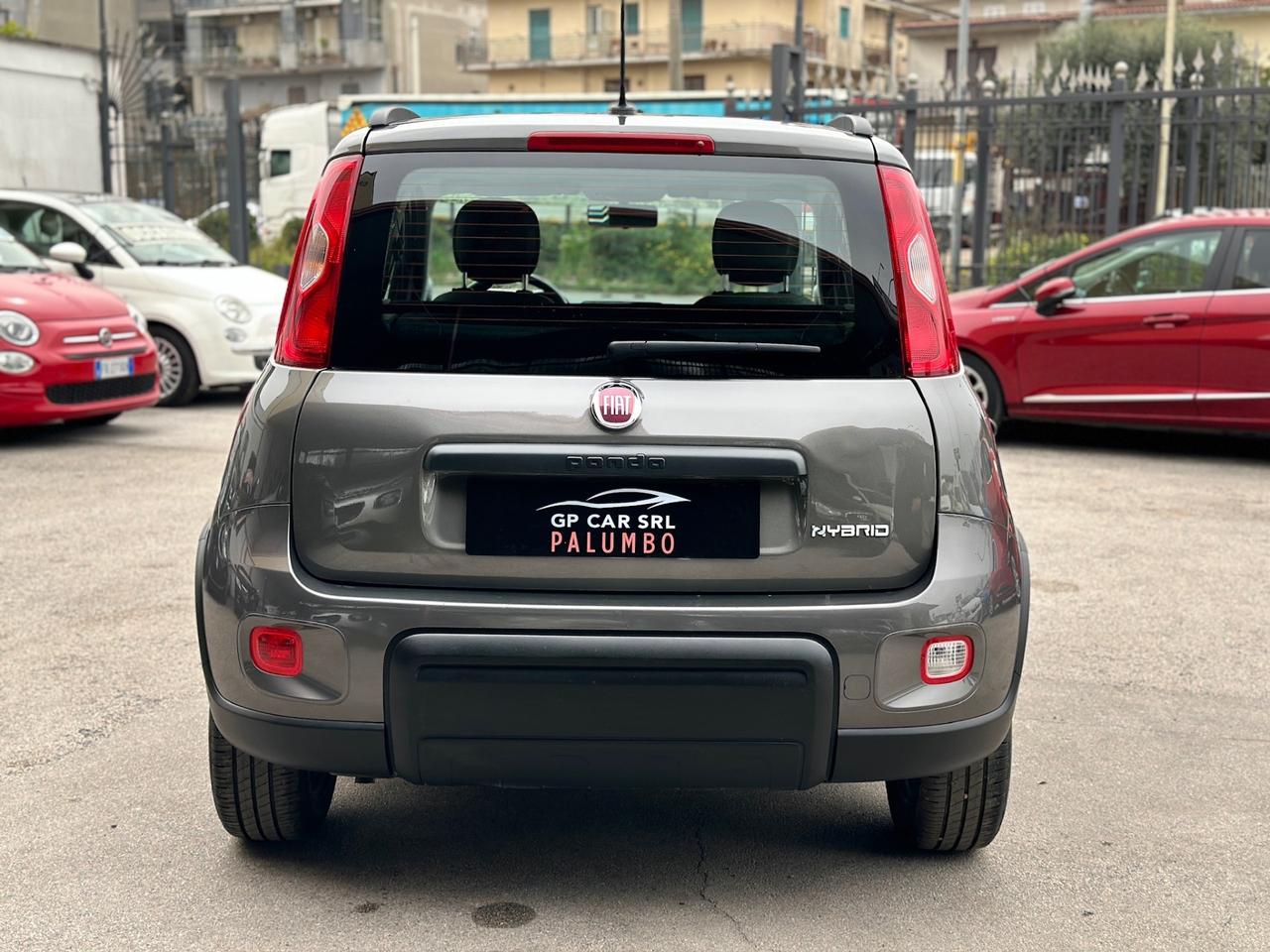 Fiat Panda 1.0 FireFly S&S Hybrid CITY LIFE UFFICIALE ITALIA