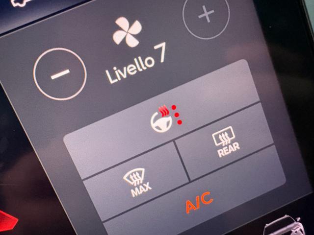 CUPRA Formentor 2.0 TDI 150 CV 4Drive DSG ''OPACA''