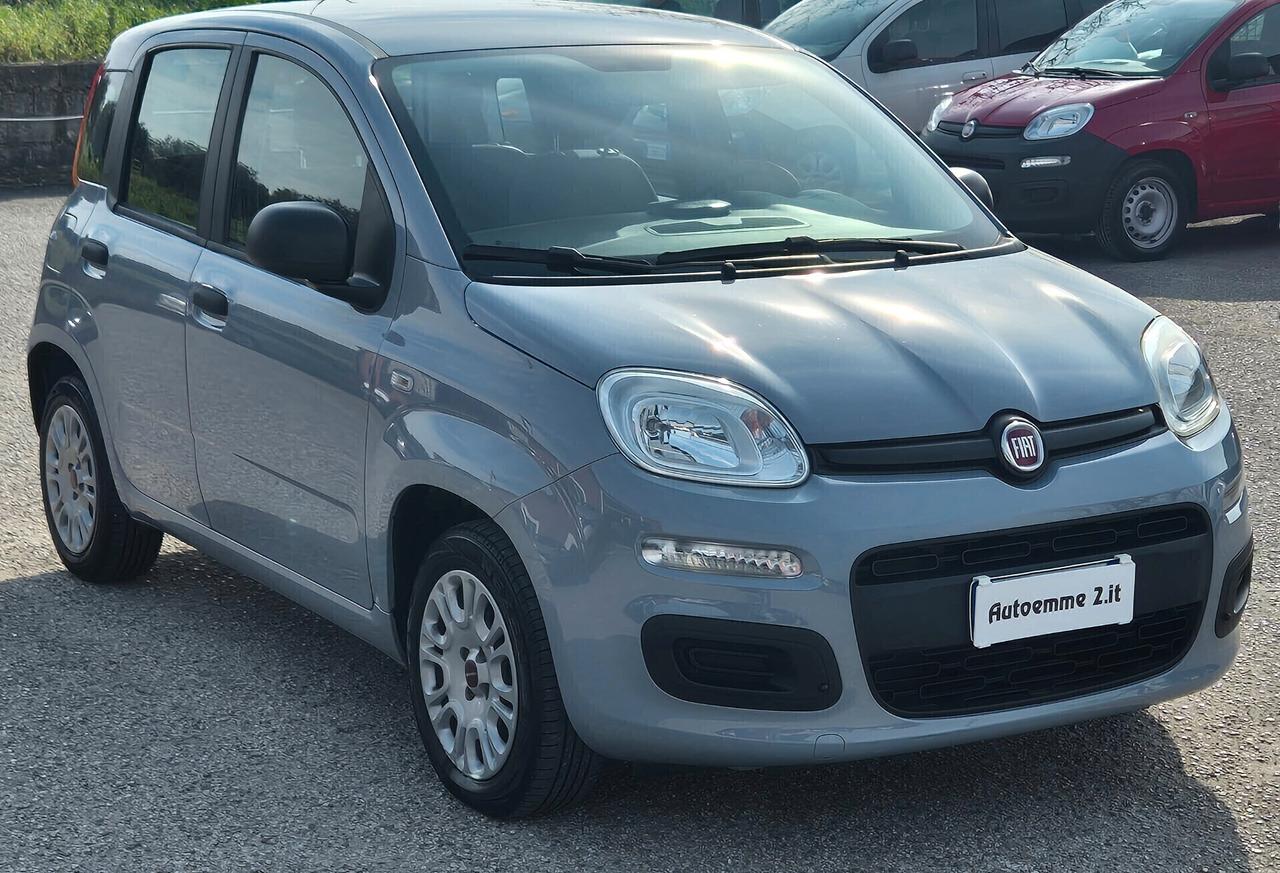 Fiat Panda 1.2 EasyPower Easy GPL casa madre