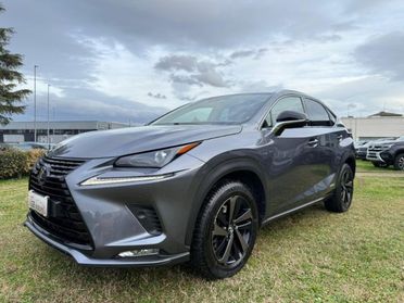 LEXUS NX 300 Hybrid 4WD Premium NAVI - LED - PELLE - TELEC - 18