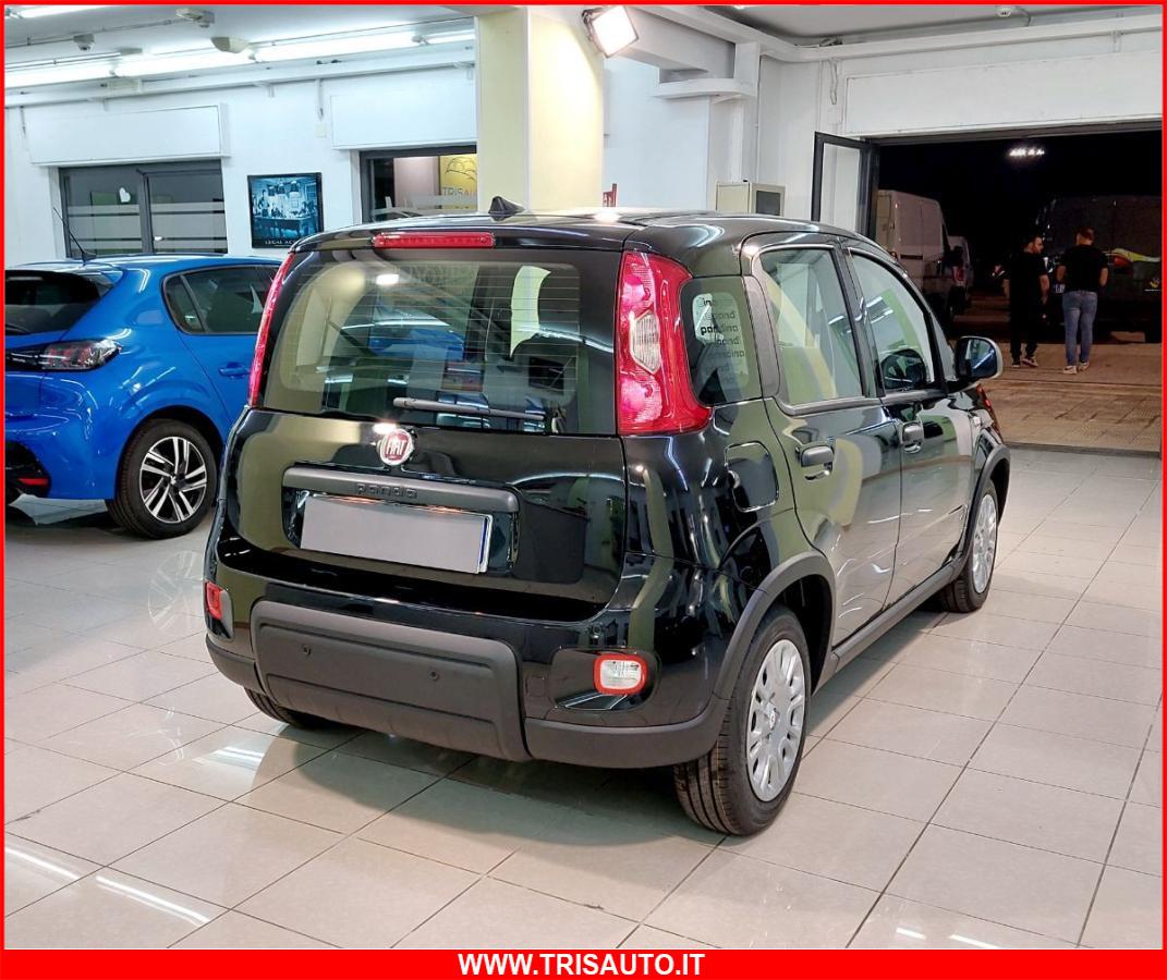 FIAT Panda 1.0 FireFly S&S Hybrid MY24 KM ZERO!!! IVATA NEOPATENTATI