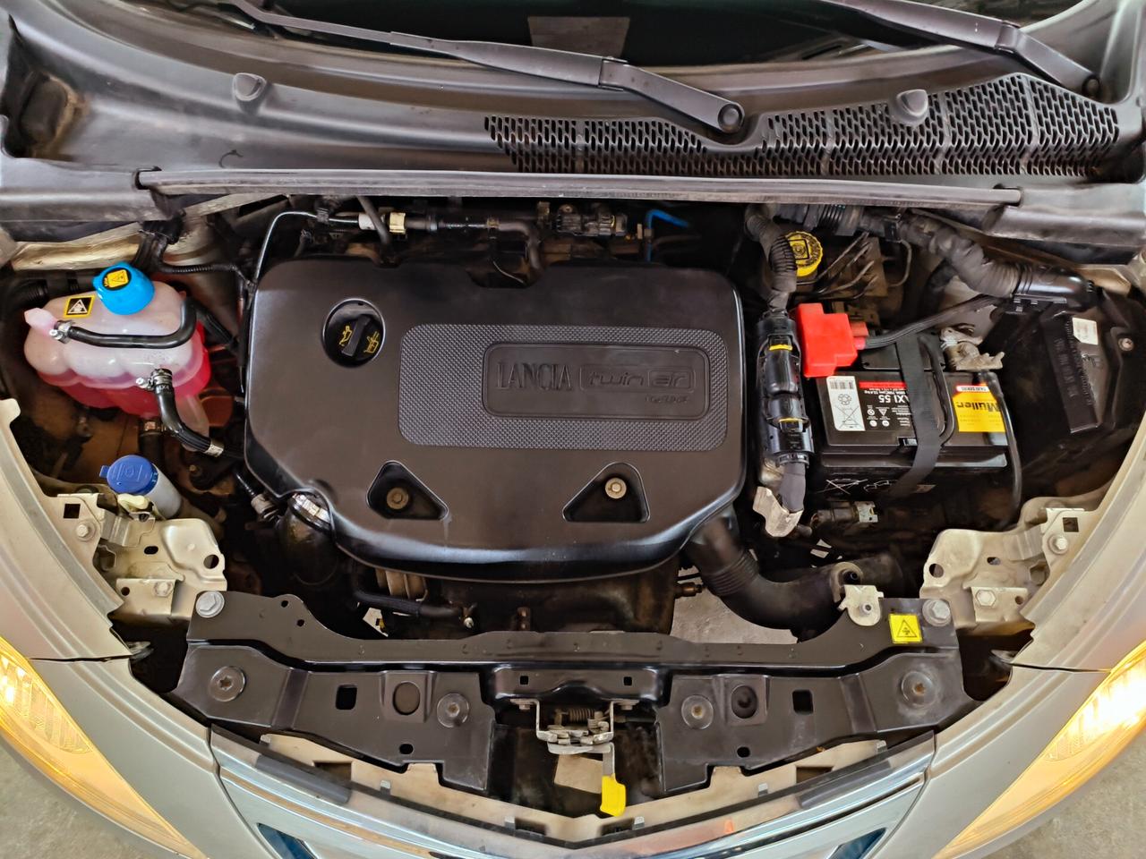 Lancia Ypsilon 0.9 TwinAir 85 CV 5 porte S&S Gold