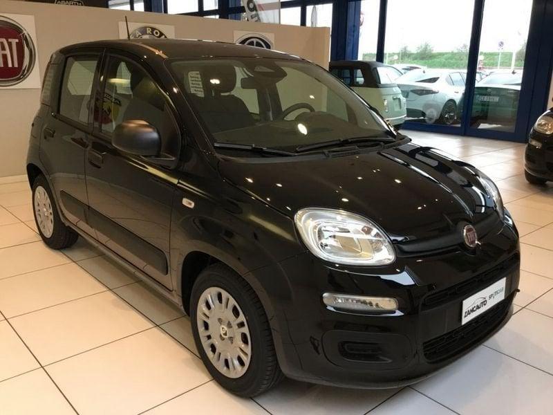 FIAT Panda Panda 1.0 FireFly S&S Hybrid Pop 65cv